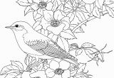 Free Printable Spring Coloring Pages for Adults Free Printable Coloring Page New York State Bird and
