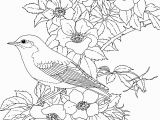Free Printable Spring Coloring Pages for Adults Free Printable Coloring Page New York State Bird and