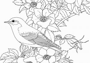 Free Printable Spring Coloring Pages for Adults Free Printable Coloring Page New York State Bird and