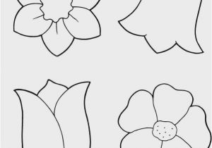 Free Printable Spring Coloring Pages for Preschool Preschool Activity Sheets Unique Printable Coloring Pages Line New