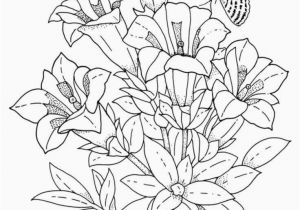 Free Printable Spring Coloring Pages for toddlers Printable Coloring Pages Spring Frog Coloring Pages Fresh Frog