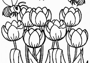 Free Printable Tulip Coloring Pages Download Free Coloring Pages for Tulip Flower