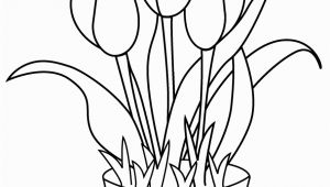 Free Printable Tulip Coloring Pages Free Printable Tulip Coloring Pages for Kids