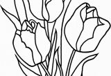 Free Printable Tulip Coloring Pages Fresh Tulip Flower Coloring Sheet Collection