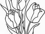 Free Printable Tulip Coloring Pages Fresh Tulip Flower Coloring Sheet Collection