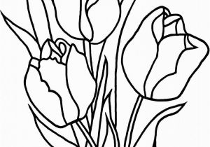 Free Printable Tulip Coloring Pages Fresh Tulip Flower Coloring Sheet Collection