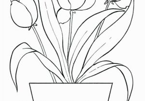 Free Printable Tulip Coloring Pages Plete P Tulip Coloring Pages Acceptable Free Printable