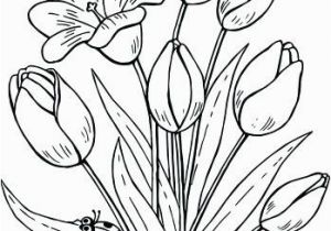 Free Printable Tulip Coloring Pages Tulip Coloring Page Tulip Coloring Page Related Post Spring Tulip