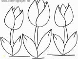 Free Printable Tulip Coloring Pages Tulip Coloring Pages All Regarding Page Flower Free Printable