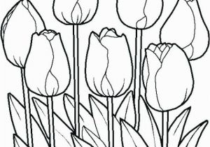 Free Printable Tulip Coloring Pages Tulip Coloring Pages Flower Colouring Free Printable Sheets