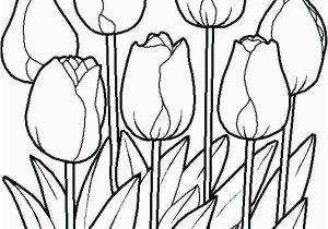 Free Printable Tulip Coloring Pages Tulips Coloring Pages Free E Tulip Coloring Pages Tulips Free