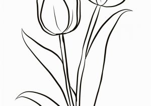 Free Printable Tulip Coloring Pages Two Tulips Coloring Page From Tulip Category Select From