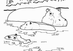Free Printable Wild Animal Coloring Pages Wild Animal Coloring Page River Hippo Coloring Page