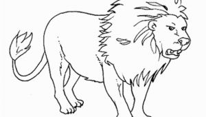 Free Printable Wild Animal Coloring Pages Wild Animals Coloring Pages Free Printable Download