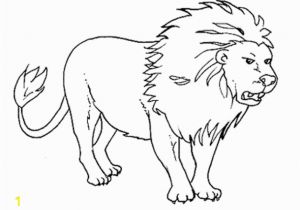 Free Printable Wild Animal Coloring Pages Wild Animals Coloring Pages Free Printable Download