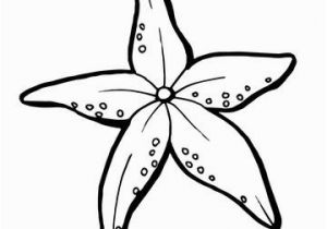 Free Printable X-ray Coloring Pages Realistic Starfish Coloring Page with Images