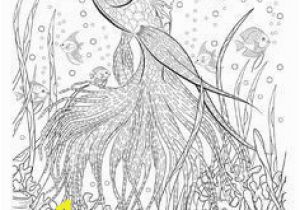 Free Sue Coccia Coloring Pages 338 Best Birds Coloring Page Images In 2020