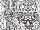 Free Tiger Coloring Pages Creative Haven Untamed Designs Colouring Book Page 7 Of 7