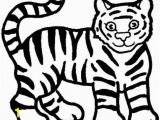 Free Tiger Coloring Pages Nice Tiger Pictures to Colouring Pages