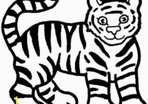 Free Tiger Coloring Pages Nice Tiger Pictures to Colouring Pages