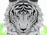 Free Tiger Coloring Pages the Menagerie