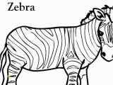 Free Zebra Coloring Pages to Print Zebra Color Page Zebra Coloring Book Zebra Coloring Book Color Book