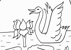 Frog and Lily Pad Coloring Pages Lilly Pad Coloring Pages