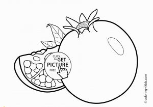 Fruit and Vegetable Coloring Pages Coloring Pages Fruits and Ve Ables for Kids Coloring Pages