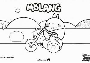 Full Page Coloring Pages Hello Kitty Ausmalbilder Meerestiere