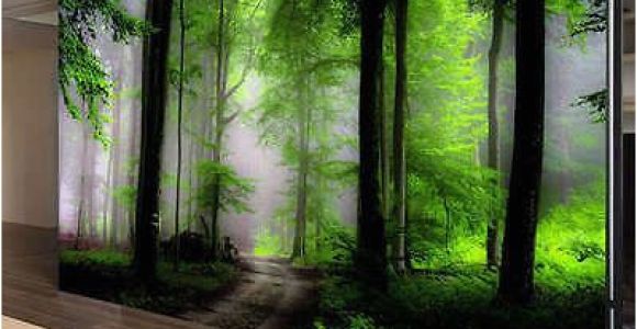 Full Wall Murals forest Details About Dream Mysterious forest Full Wall Mural