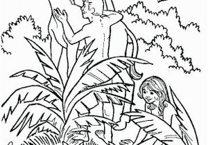 Garden Of Eden Coloring Pages Free Printable Garden Eden Coloring Pages at Getcolorings