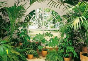 Garden Window Wall Mural Wintergarden Wall Mural In 2019