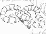 Garter Snake Coloring Page Plains Drawing at Getdrawings