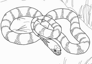 Garter Snake Coloring Page Plains Drawing at Getdrawings