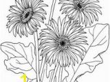 Gerbera Daisy Coloring Page 400 Best X Line Drawings Flowers 1 Images