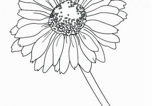 Gerbera Daisy Coloring Page Daisy Coloring Pages at Getdrawings