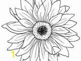 Gerbera Daisy Coloring Page Daisy Sunflower