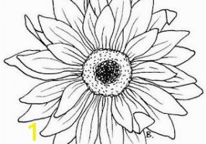 Gerbera Daisy Coloring Page Daisy Sunflower