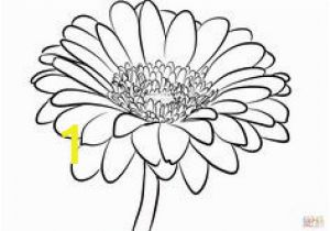 Gerbera Daisy Coloring Page Gerber Daisy Coloring Pages at Getdrawings
