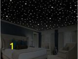 Glow In the Dark Ceiling Murals Ceiling Decal