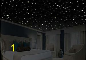 Glow In the Dark Ceiling Murals Ceiling Decal