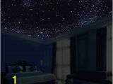 Glow In the Dark Ceiling Murals Glow In the Dark Night Sky Mural Stars Constellations Milky Way 5 Ft