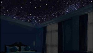 Glow In the Dark Ceiling Murals Glow In the Dark Night Sky Mural Stars Constellations Milky Way 5 Ft