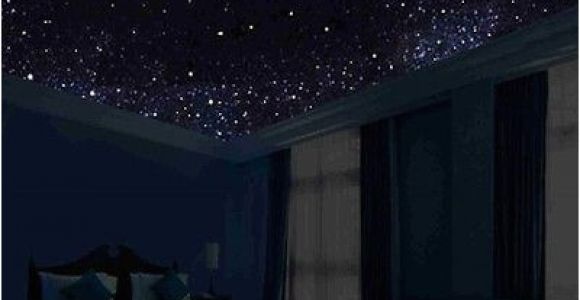 Glow In the Dark Ceiling Murals Glow In the Dark Night Sky Mural Stars Constellations Milky Way 5 Ft