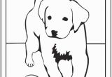 Golden Retriever Cute Puppy Coloring Pages 35 Dog Coloring Pages Breeds Bones and Dog Houses