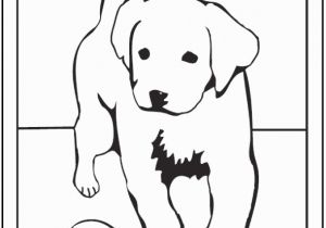Golden Retriever Cute Puppy Coloring Pages 35 Dog Coloring Pages Breeds Bones and Dog Houses