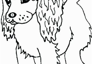 Golden Retriever Cute Puppy Coloring Pages Coloring Pages Golden Retriever Puppies at Getdrawings