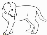 Golden Retriever Cute Puppy Coloring Pages Golden Retriever Puppy Coloring Page