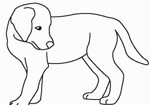 Golden Retriever Cute Puppy Coloring Pages Golden Retriever Puppy Coloring Page