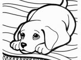 Golden Retriever Cute Puppy Coloring Pages Golden Retriever Puppy Drawing at Getdrawings